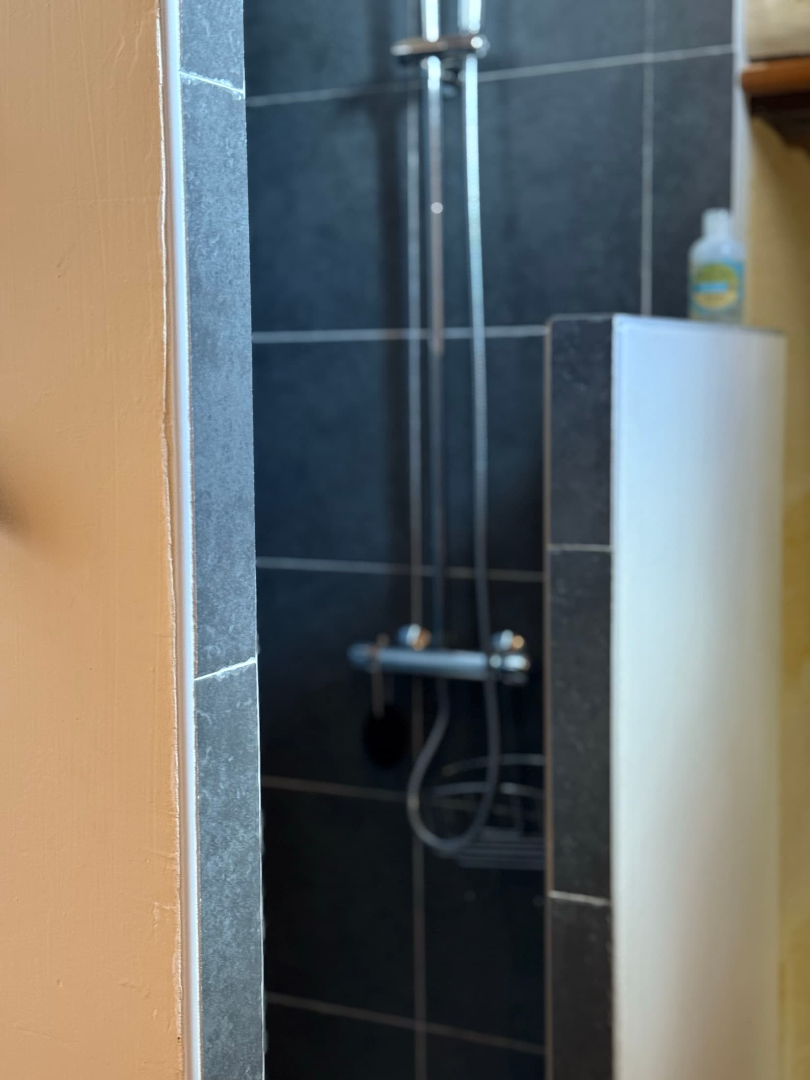Shower in the Aliénor room